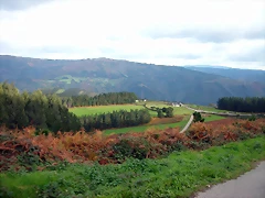DSCN6240 DSCN6240