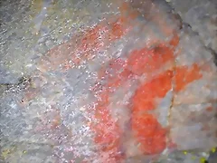 DSCN2098'4 DSCN2098'4