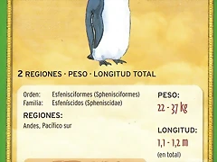 pinguino