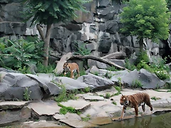 Tierpark Berlín 23-06-11 248 Tierpark Berlín 23-06-11 248