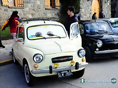 CAS_3908 CAS_3908