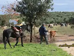 20, Pepe da una vuelta, marca