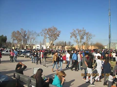 IMG_1015 IMG_1015