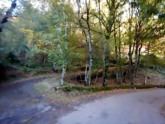 DSCN0249