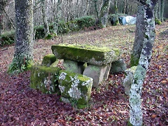 DSCN7317