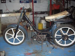 SDC14377