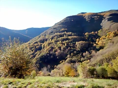 DSCN9516 DSCN9516