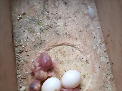 20190302_104238