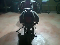 BOLUDA 2