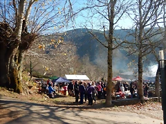 DSCN0204 DSCN0204