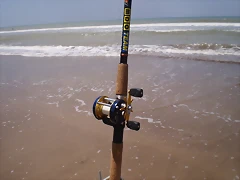 PB140876 PB140876