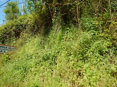 DSCN9868 DSCN9868