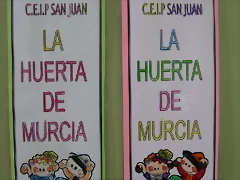DSCN6779