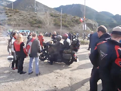 PC203634 PC203634