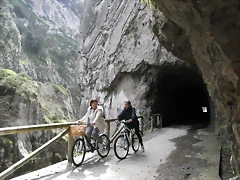 R0012345 R0012345