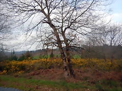 DSCN2463 DSCN2463