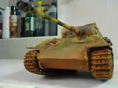 panther3 004