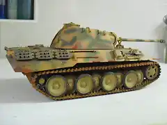 panther3 003