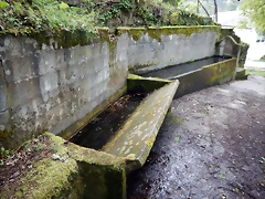 DSCN0588 DSCN0588