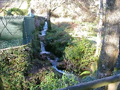 DSCN6648 DSCN6648