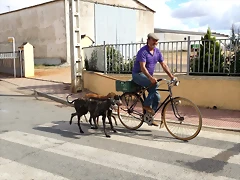 20150816_175617 20150816_175617