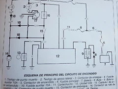 1-IMG_5784 1-IMG_5784