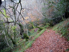 DSCN0772 DSCN0772