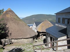 IMG_6957 IMG_6957