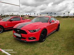 IMG_20190406_133806 IMG_20190406_133806