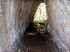 DSCN1371 DSCN1371