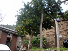 DSCN1122 DSCN1122
