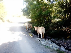 DSCN8393 DSCN8393
