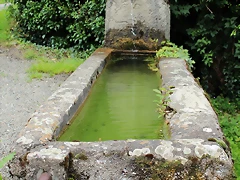 IMG_6695 IMG_6695