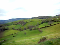 DSCN4081 DSCN4081