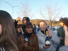 P1030073 P1030073