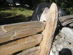 IMG_1127 IMG_1127