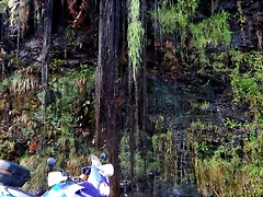 DSCN3299 DSCN3299