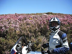 DSCF2544 DSCF2544