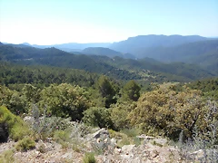 DSCN2359 DSCN2359