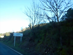 DSCN1683 DSCN1683