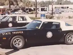 police car