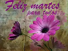 feliz martes