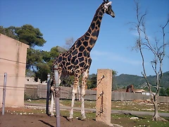 PIC04840