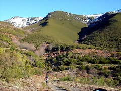 DSCN8066 DSCN8066