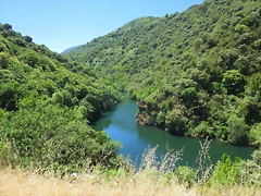 53-IMG_7254