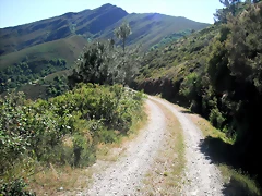 DSCF2675 DSCF2675