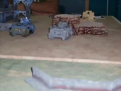 CIMG1395 CIMG1395