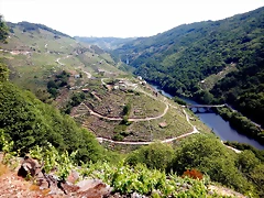 DSCN3388 DSCN3388