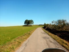 DSCN2796 DSCN2796
