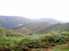 IMG_0500 IMG_0500